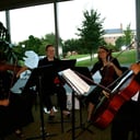 Strings, Etc!