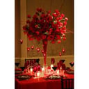 Stylish Events