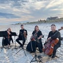 Sweet Harmony Live Music