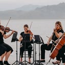 Black &amp; White String Quartet