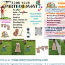 Teddy Mountain Workshop Build a Teddy Bear