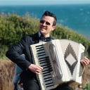 The Accordionist