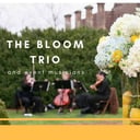 The Bloom Trio