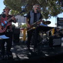 The Bluesuasions