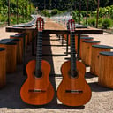 Luxury Spanish Guitar Duo