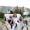 The Carriage Establishment