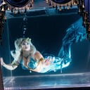 The Caspian Mermaid