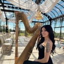 The Enchanted Harpist