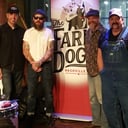 the Farm Dogs