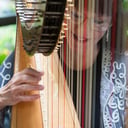 The Gold Harp - Laurie Galster