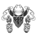 The Hiredguns Band