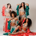 The Middle Eastern Dance Academy of CT