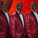 The Palovations