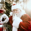 The Santa Claus Experience