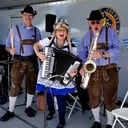 The Swedish Meatballs