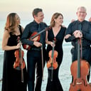 The Vanderbilt Strings