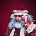 The Vintage Santa 315