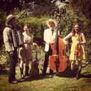 The Vivants