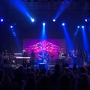 The Will Thompson Band