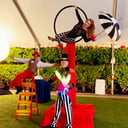Shows &amp; Circus