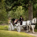 Top Hand Ranch carriage service