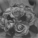 Traditions Weddings and Special Occasions