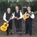 El Trio Borinquen de Papo Valle