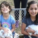 Bunny Biz FL