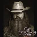 Twenty Hands High