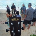 Ukulele &amp; Keyboard Player/Vocalist