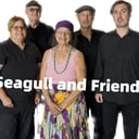 Seagull and Friends