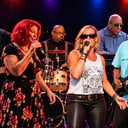 Velvet Rose Band Chicago