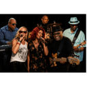 Velvet Rose Band Chicago
