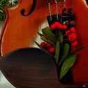 Victorian Carols &amp; Strings