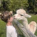 Vidbel Mountain Homestead