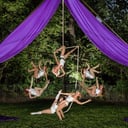 Violet Crown Collective, LLC