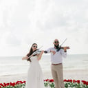 Violinist for events