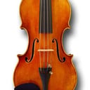 Violinist &amp; Lux Ensemble