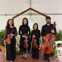 Viva La Vida String Quartet LLC