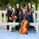 Viva La Vida String Quartet LLC