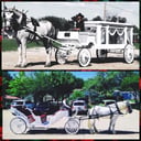 Wedding Carriage and Funeral Hearse