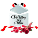 Wedding In A Box &amp; Rentals Too