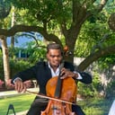 Dion Perinon's Cello Services