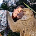 Wild About Monkeys!