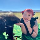 Wildlife Adventure Time
