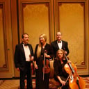 Windwild String Quartet