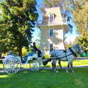 Wine Country Wedding Carriages