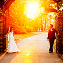 Wollwerth Imagery