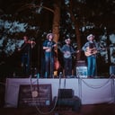 Wood &amp; Steel Live Music Company