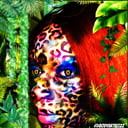ZENFULLY Z--Exotic Paints